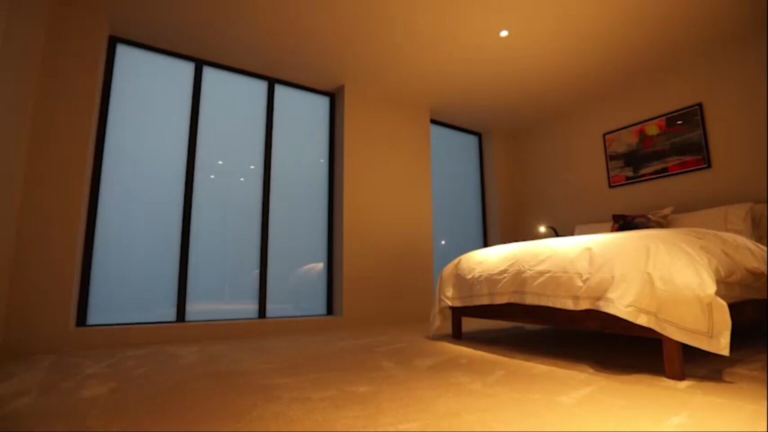 Switchable Dark DGUs